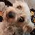 Carol Shaw's profile image