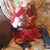 Christina Gulledge's profile image