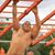 Chris Roetting's profile image