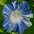 Wendi Stebbins's profile image