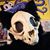 Felix Angel Cangas's profile image