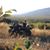 William David Boyer Iv's profile image