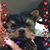 Amber Smith Stoknes's profile image