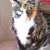 Cindy Kempert's profile image