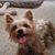 Bob Brooker's profile image