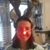 Robin Smith Sayers's profile image