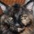 Sherri Webb's profile image