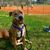 Hillary Pittman's profile image