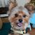 Linda Rhoden's profile image