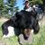 Todd Tescher's profile image