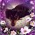 Sue Ausburn's profile image