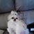 Sandra Earnhardt Bailey's profile image