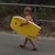 Peter Dorwin's profile image