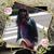 Michele Stewart's profile image