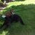 Diane Morrison Woody's profile image