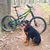 Kevin Sabine's profile image
