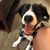 Amy Poland Redder's profile image