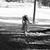 Melanie Steinhauser's profile image