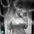 Stella Skellington's profile image