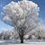 Karen Hustad's profile image