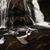April Marie Headley's profile image