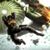 Gregory Holman's profile image