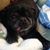 Susan York's profile image