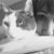 Karen Stagner Smith's profile image