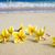 Karen Moniz Bermudez's profile image