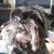 Jennifer Brinegar's profile image