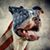 Sean Montgomery's profile image