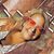 Traci Lee Hutson's profile image