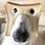 Mark Flynn's profile image