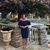 Sue Caufield's profile image
