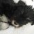 Christine Byers Chessher's profile image