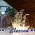 Shelly Marie Supsura Hamm's profile image