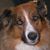 Gloria Hoover's profile image