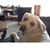 Barb Yancey Franklin's profile image