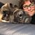 Margie Daniels's profile image