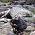 Chanelle Quesenberry's profile image