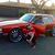 Jose Saucedo's profile image