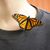 Sharon Stillwell Tomaino's profile image