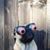 Kristy Pace's profile image