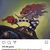 Sergio Alvarez's profile image