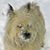 Marcia Knott's profile image