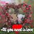 Sherri James's profile image