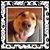 Scott Mayhugh's profile image
