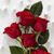 Christy Lelia Dawn's profile image