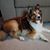 Ron Ferencz's profile image