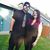 Teasha Fischer's profile image